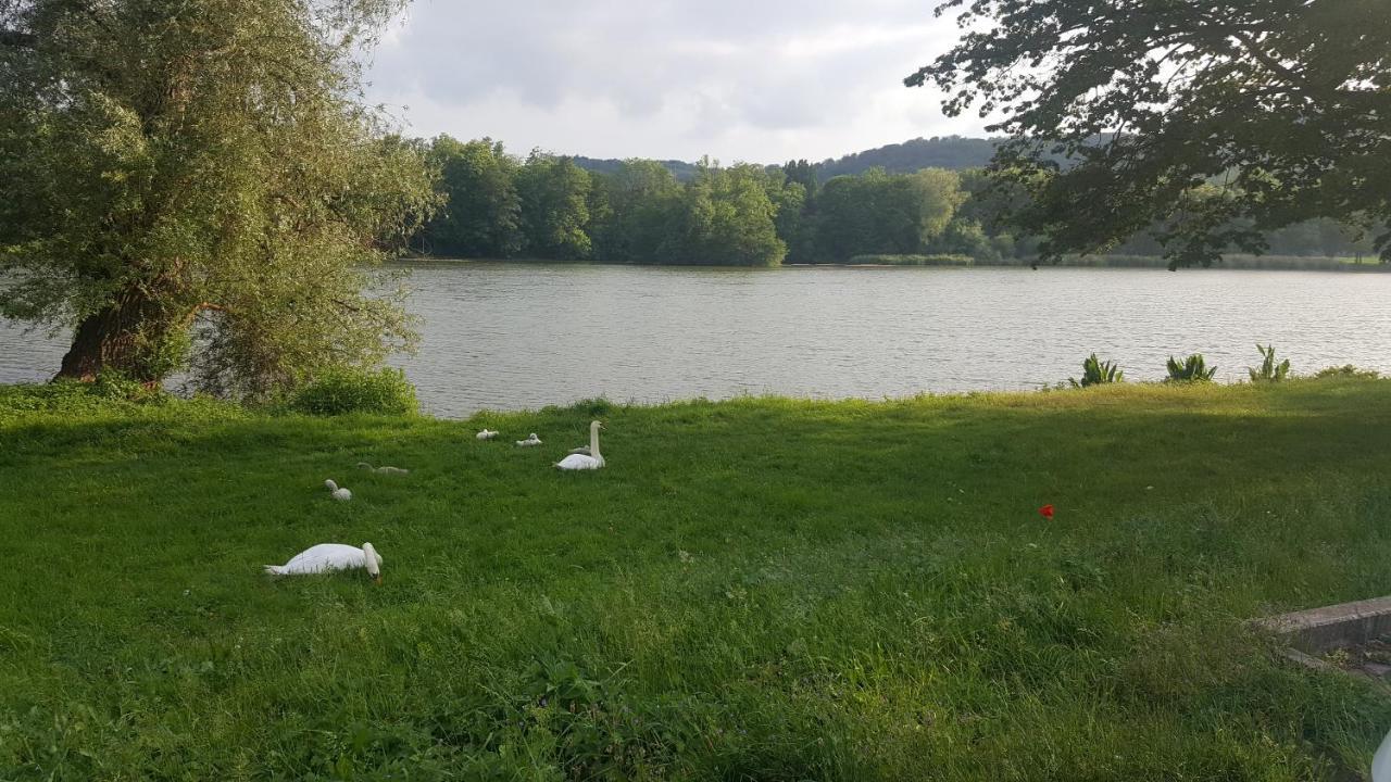 Ferienhaus Am Teich Rottleberode Exterior photo